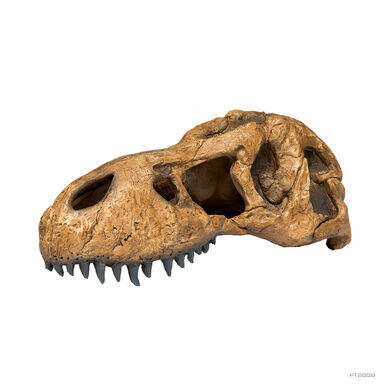 Exo Terra Cráneo de T-Rex Cueva para terrarios
